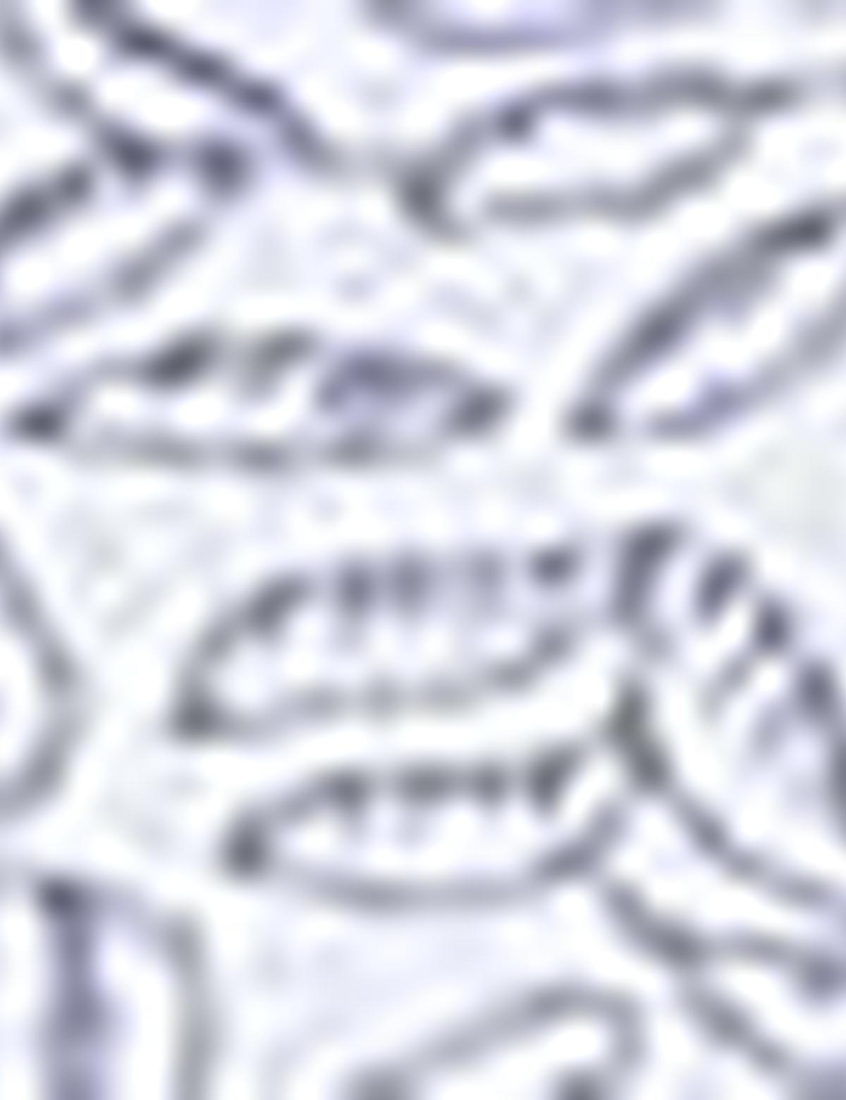 Mavi Slim Fit Polo Yaka T-Shirt - 50210328001