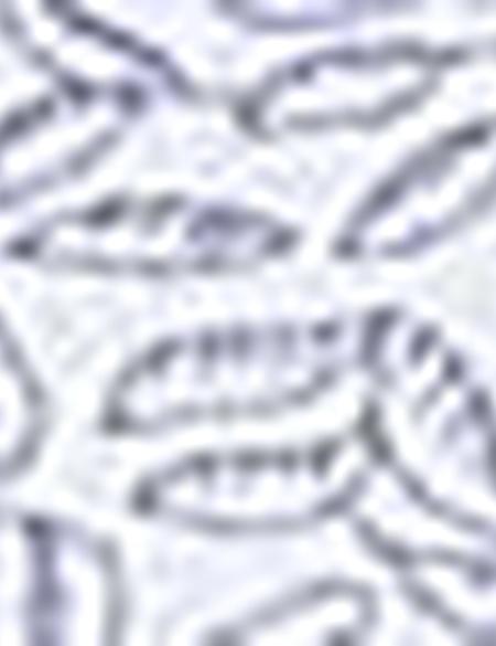 Mavi Slim Fit Polo Yaka T-Shirt - 50210328001