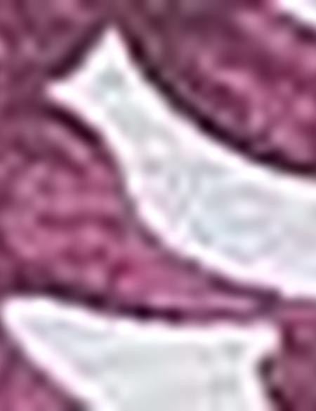 Bordo Slim Fit Polo Yaka T-Shirt - 50210330016