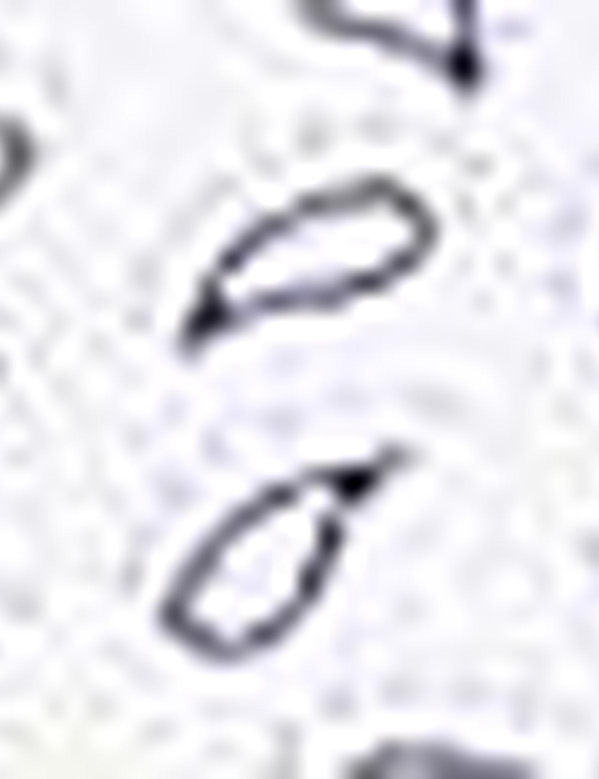 Lacivert Slim Fit Polo Yaka T-Shirt - 50210351006