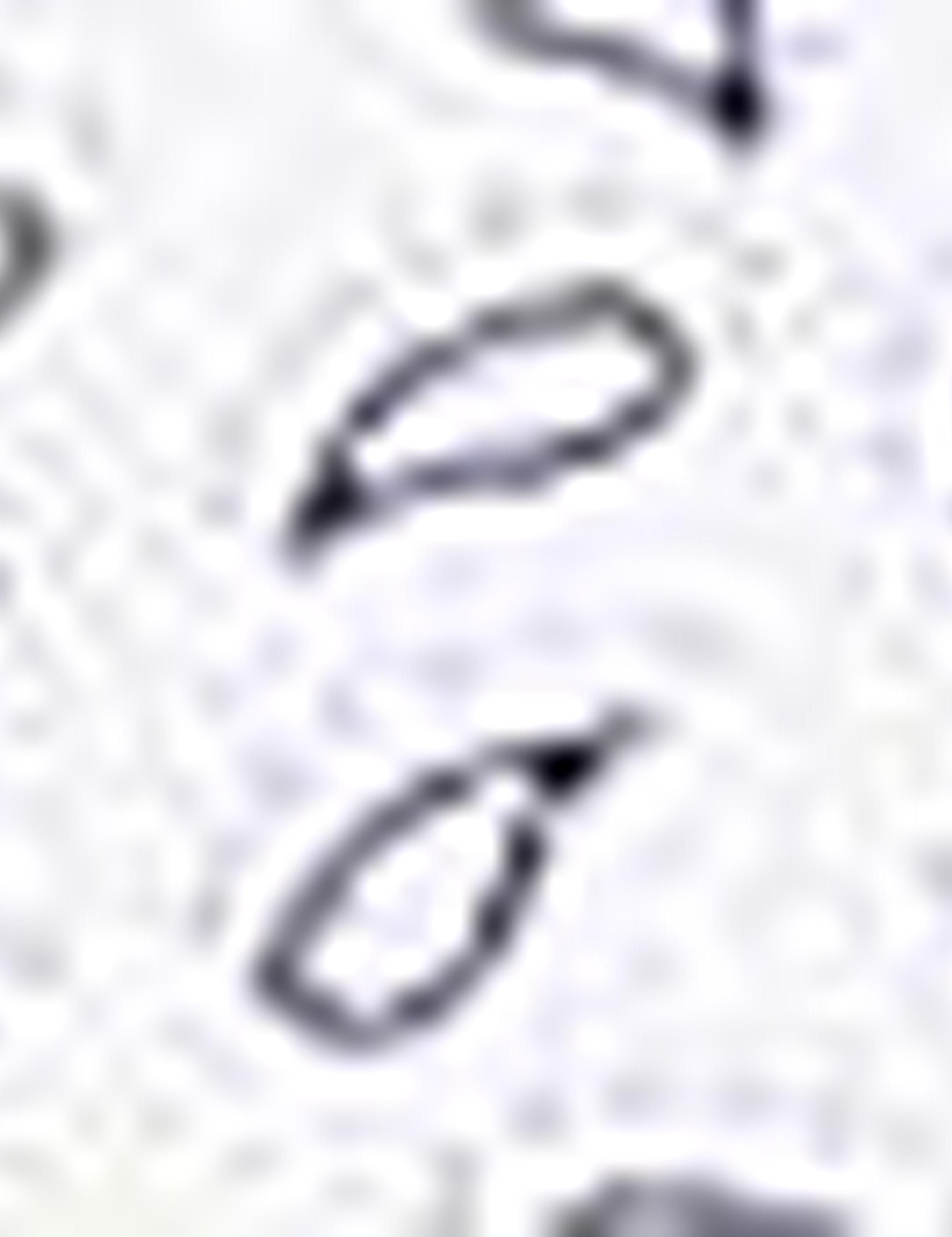 Lacivert Slim Fit Polo Yaka T-Shirt