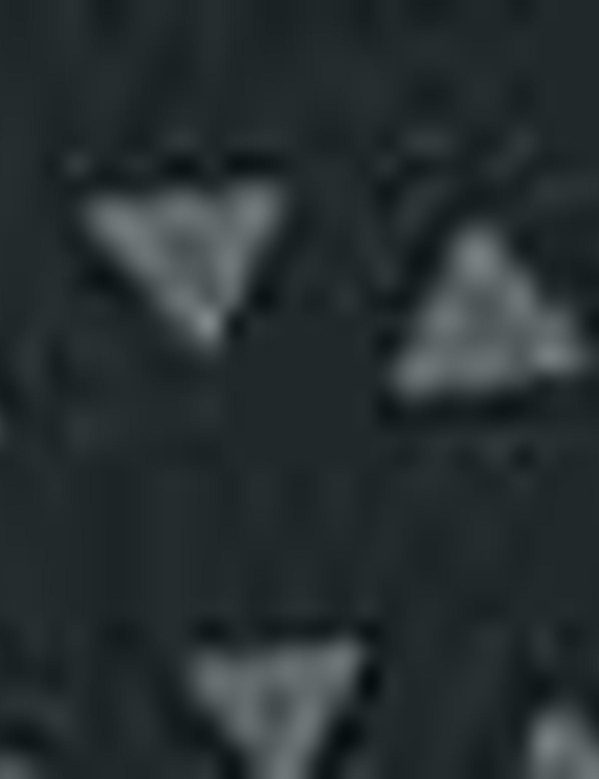 Koyu Yeşil Slim Fit Polo Yaka T-Shirt - 50210352011