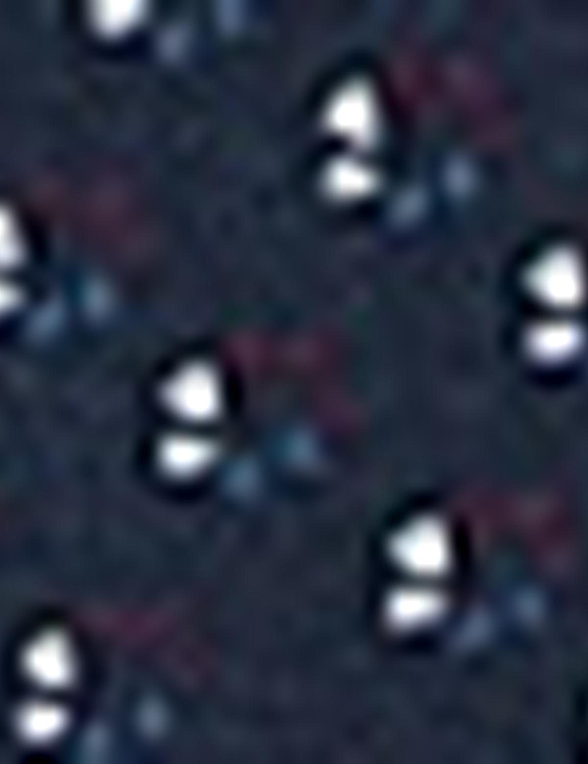 Lacivert Slim Fit T-Shirt - 50210356001