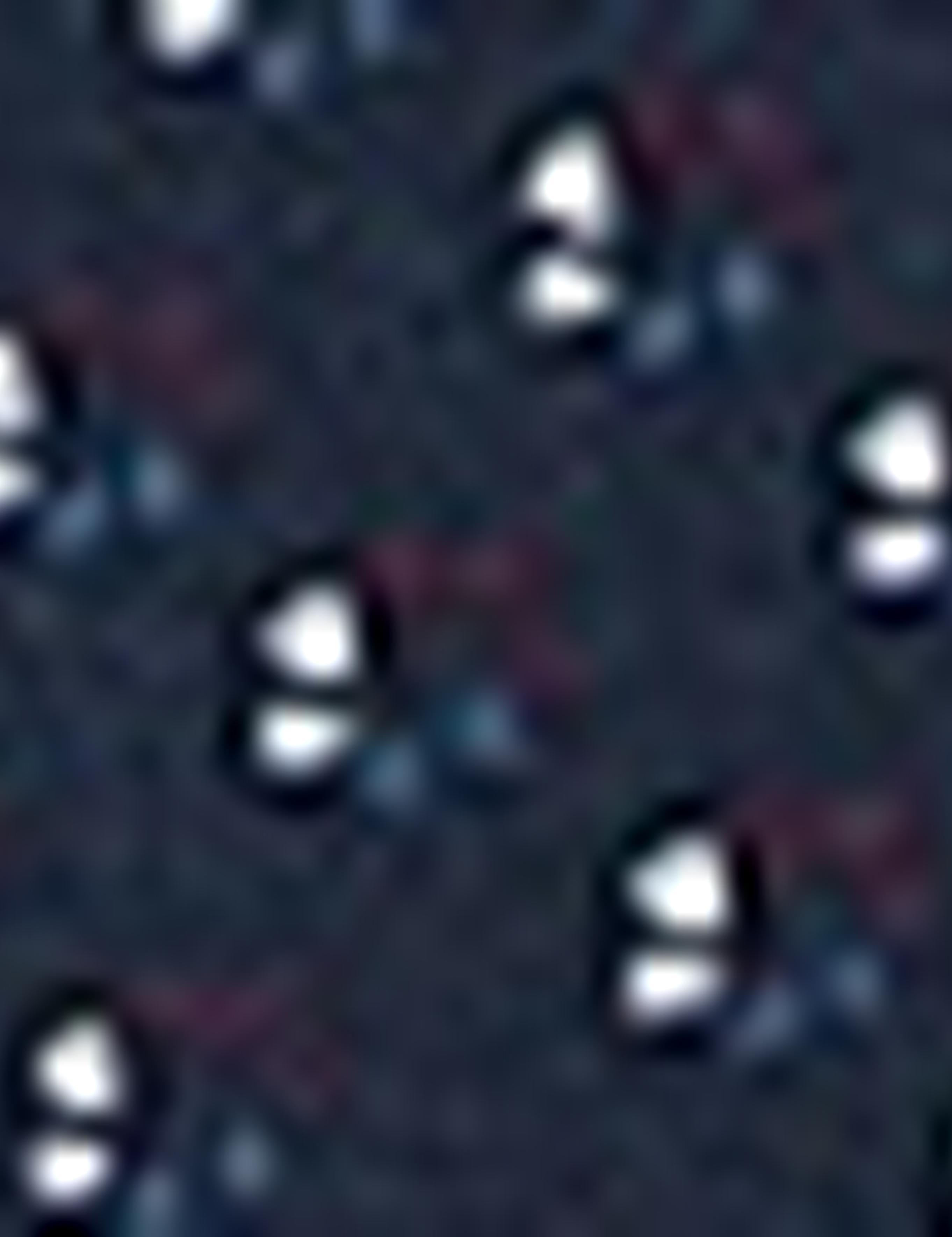 Lacivert Slim Fit T-Shirt