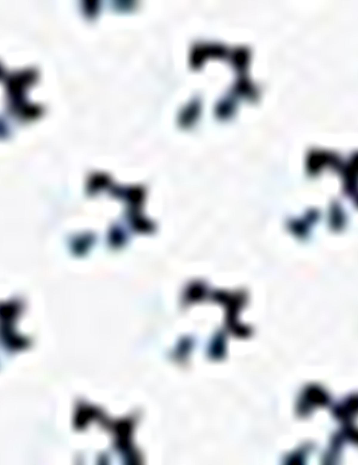 Beyaz Slim Fit Polo Yaka T-Shirt - 50210356010