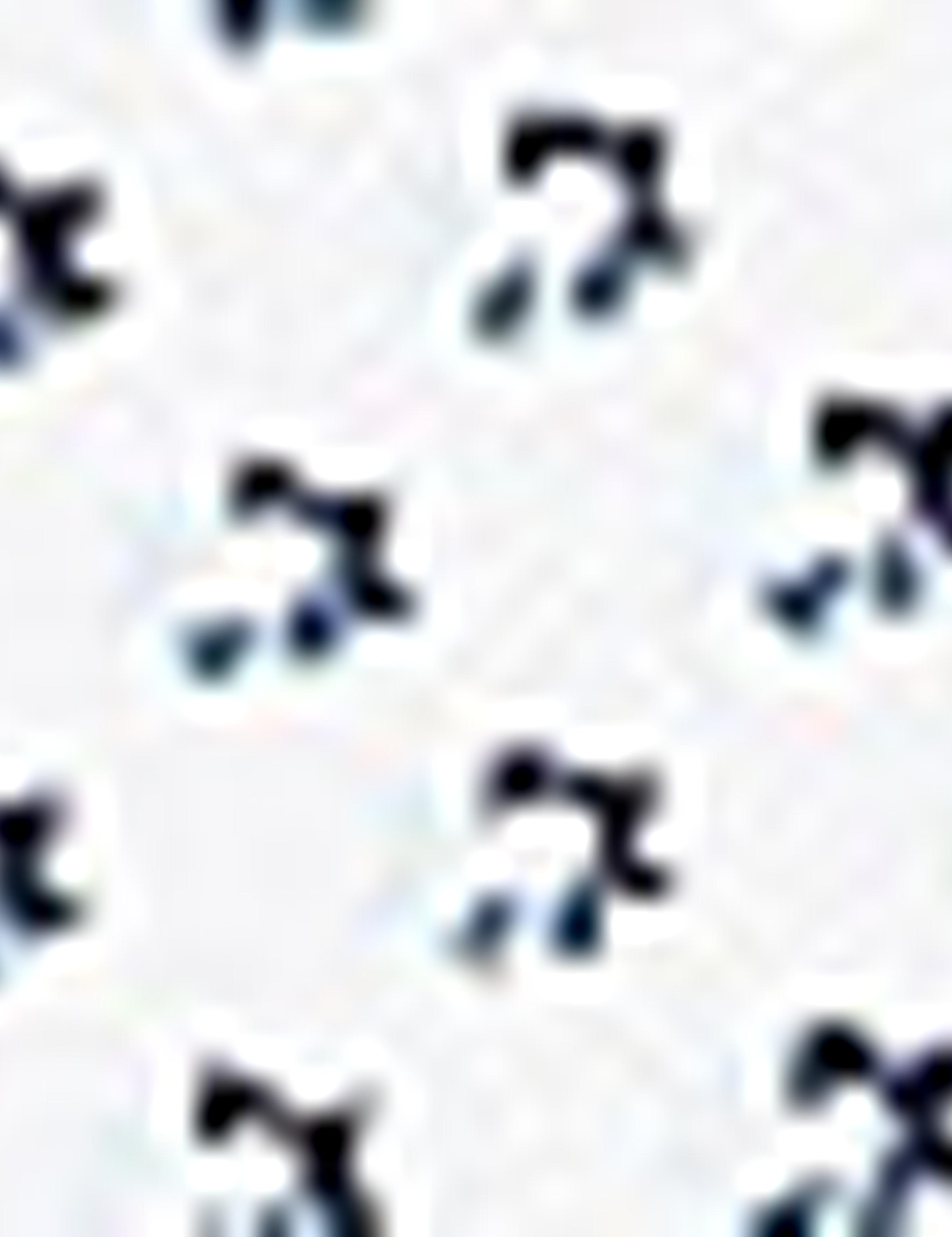 Beyaz Slim Fit Polo Yaka T-Shirt