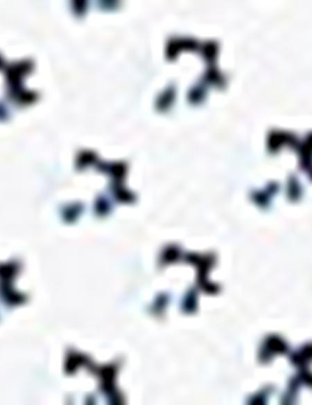 Beyaz Slim Fit Polo Yaka T-Shirt - 50210356010