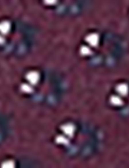 Bordo Slim Fit Polo Yaka T-Shirt - 50210356023