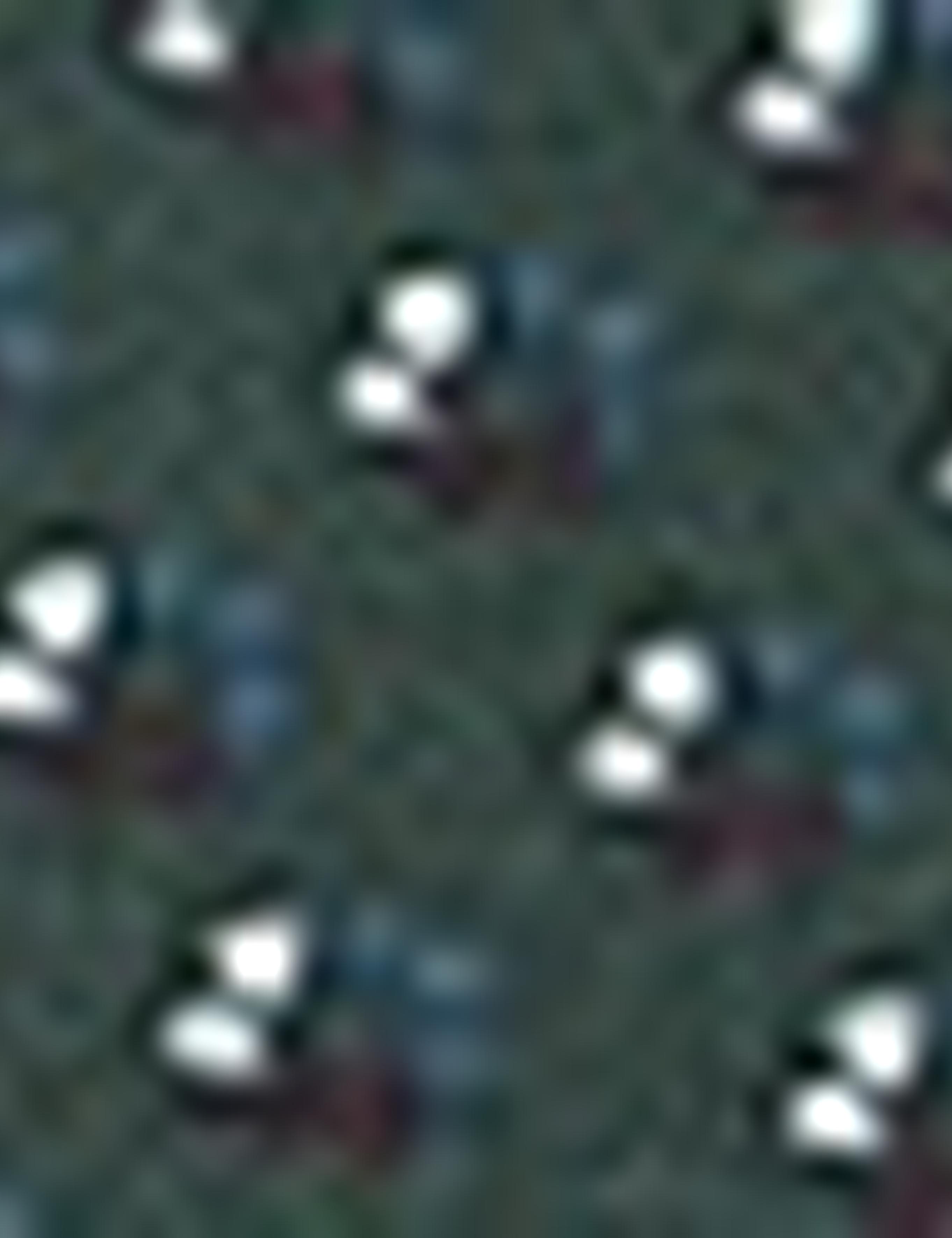 Koyu Yeşil Slim Fit T-shirt