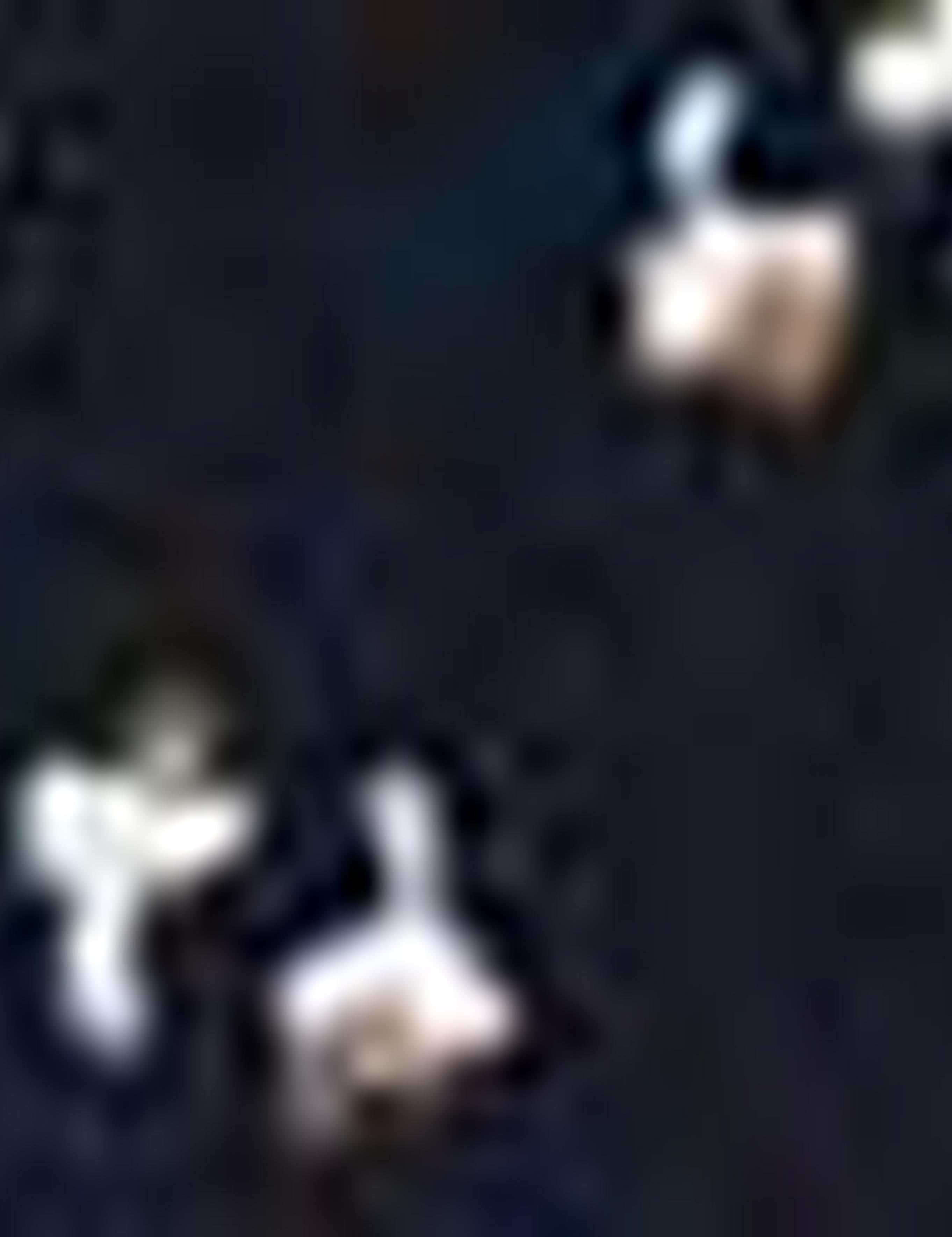 Lacivert Slim Fit T-Shirt