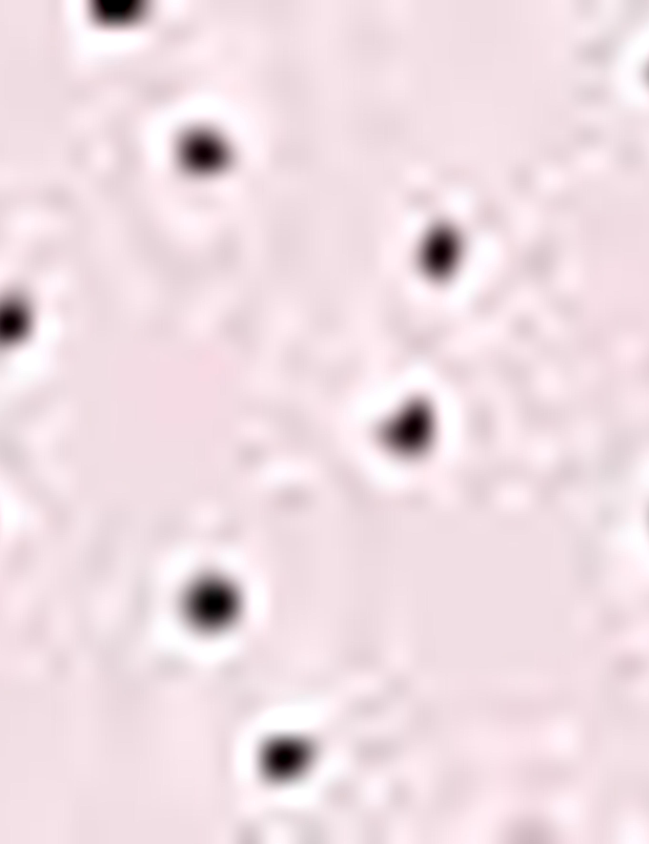 Pembe Slim Fit Polo Yaka T-Shirt