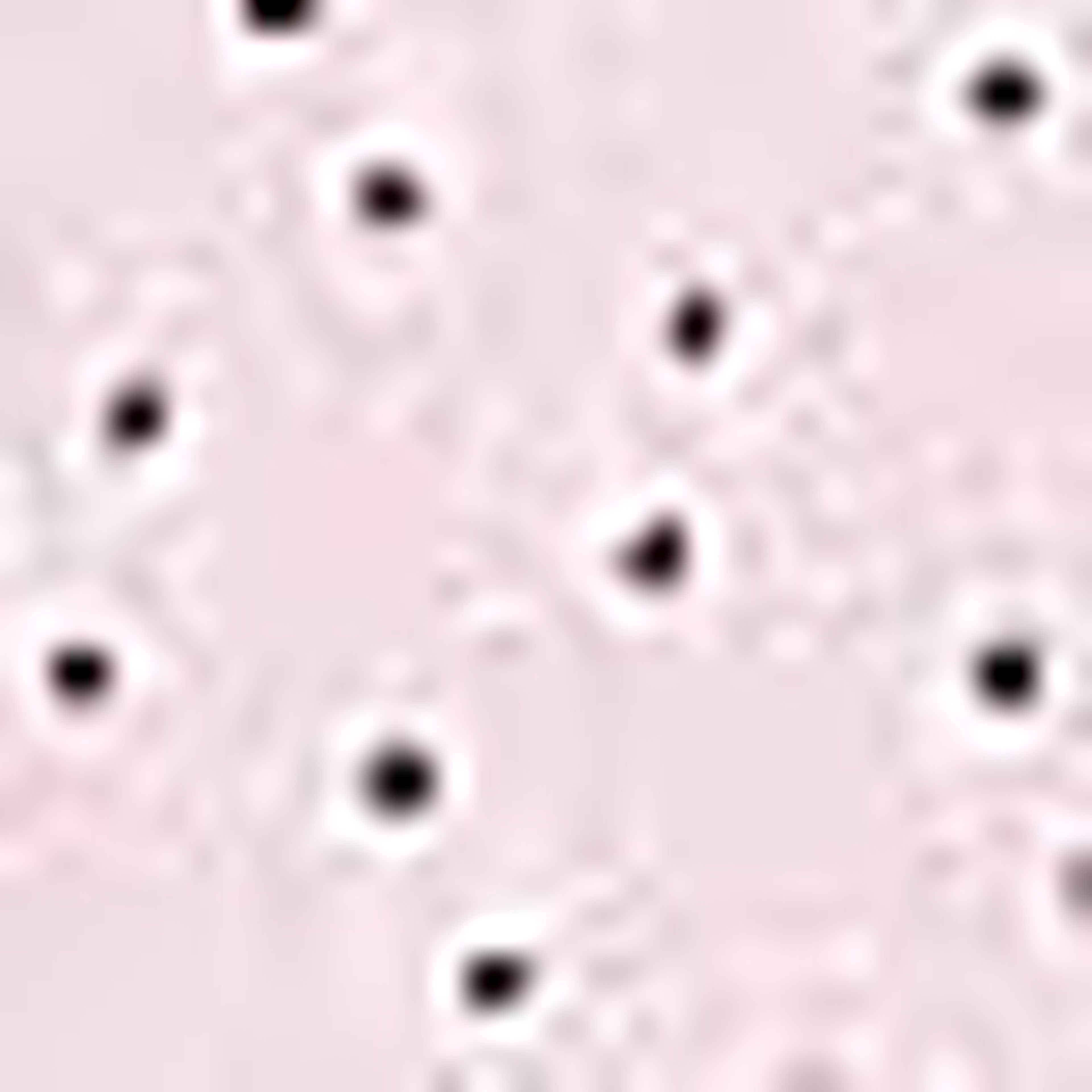 Pembe Slim Fit Polo Yaka T-Shirt - Image 6