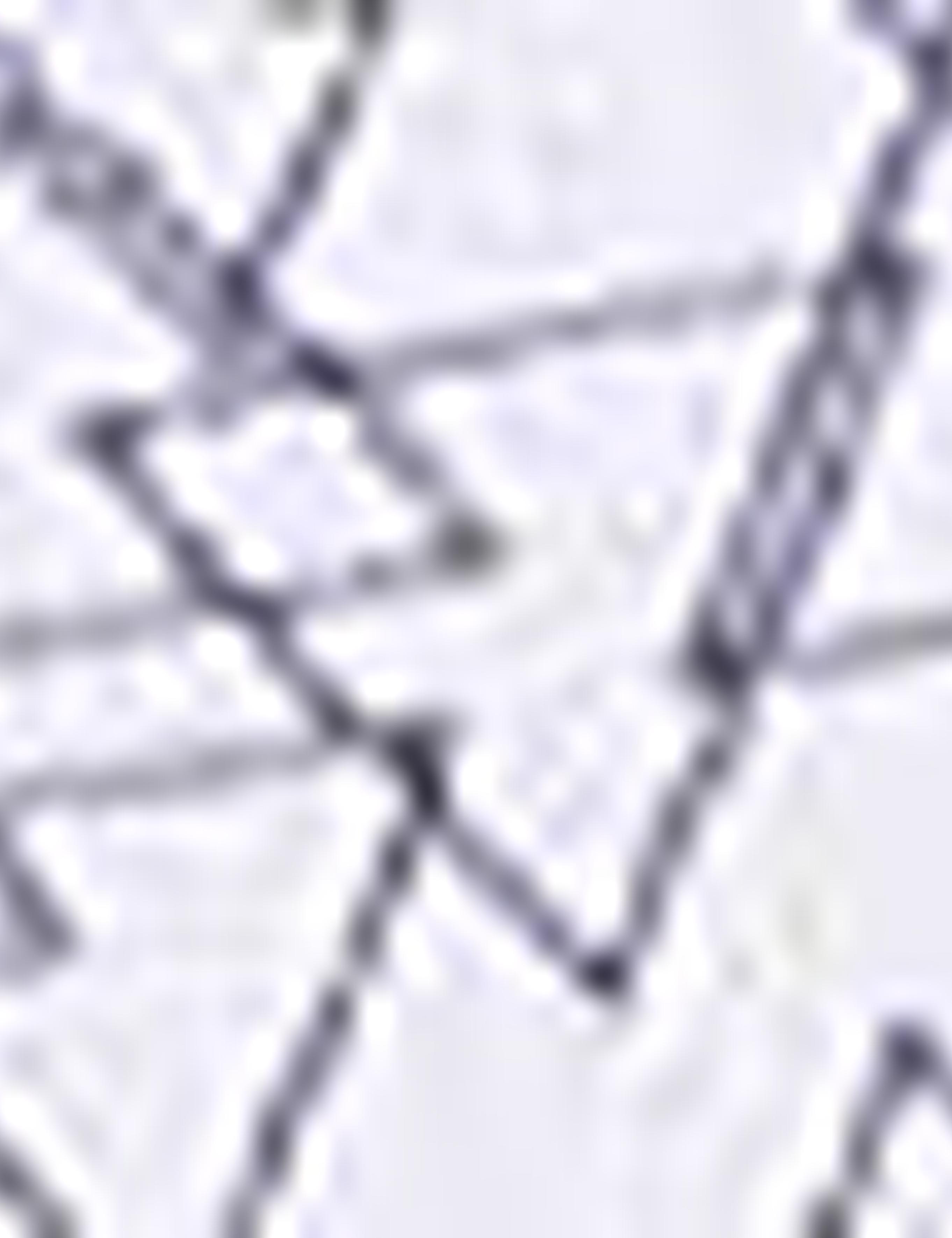 Beyaz Slim Fit Polo Yaka T-Shirt