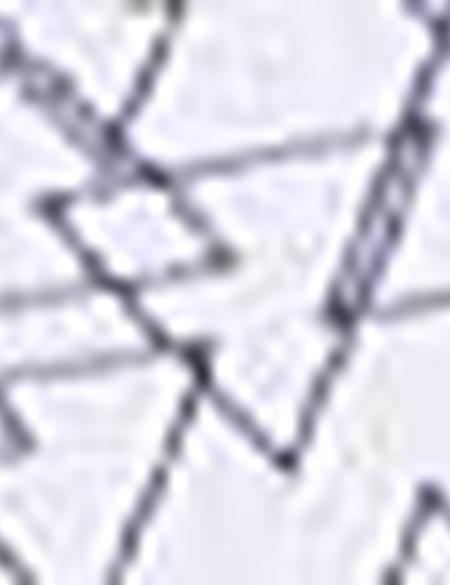 Beyaz Slim Fit Polo Yaka T-Shirt - 50210360004