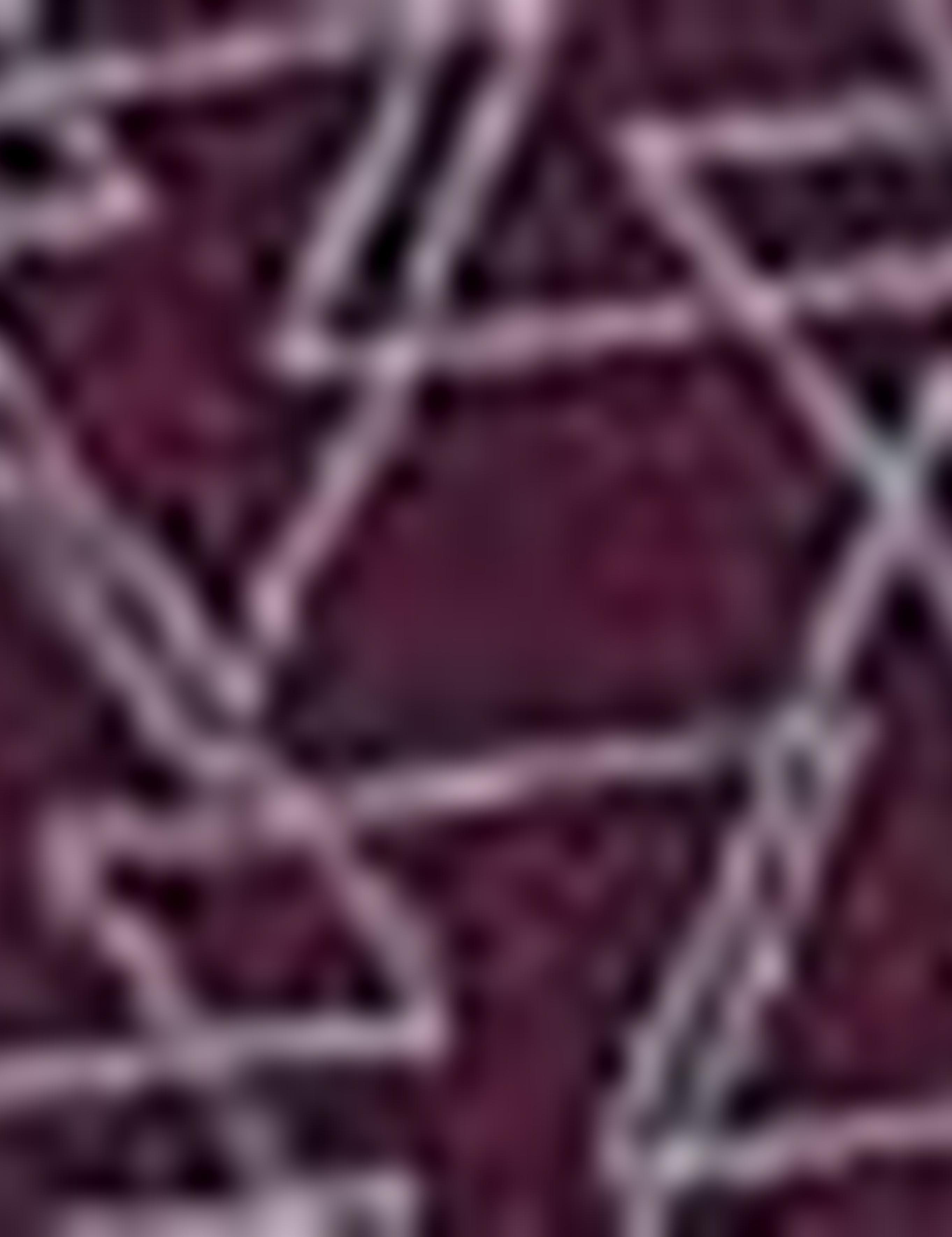 Bordo Slim Fit T-Shirt