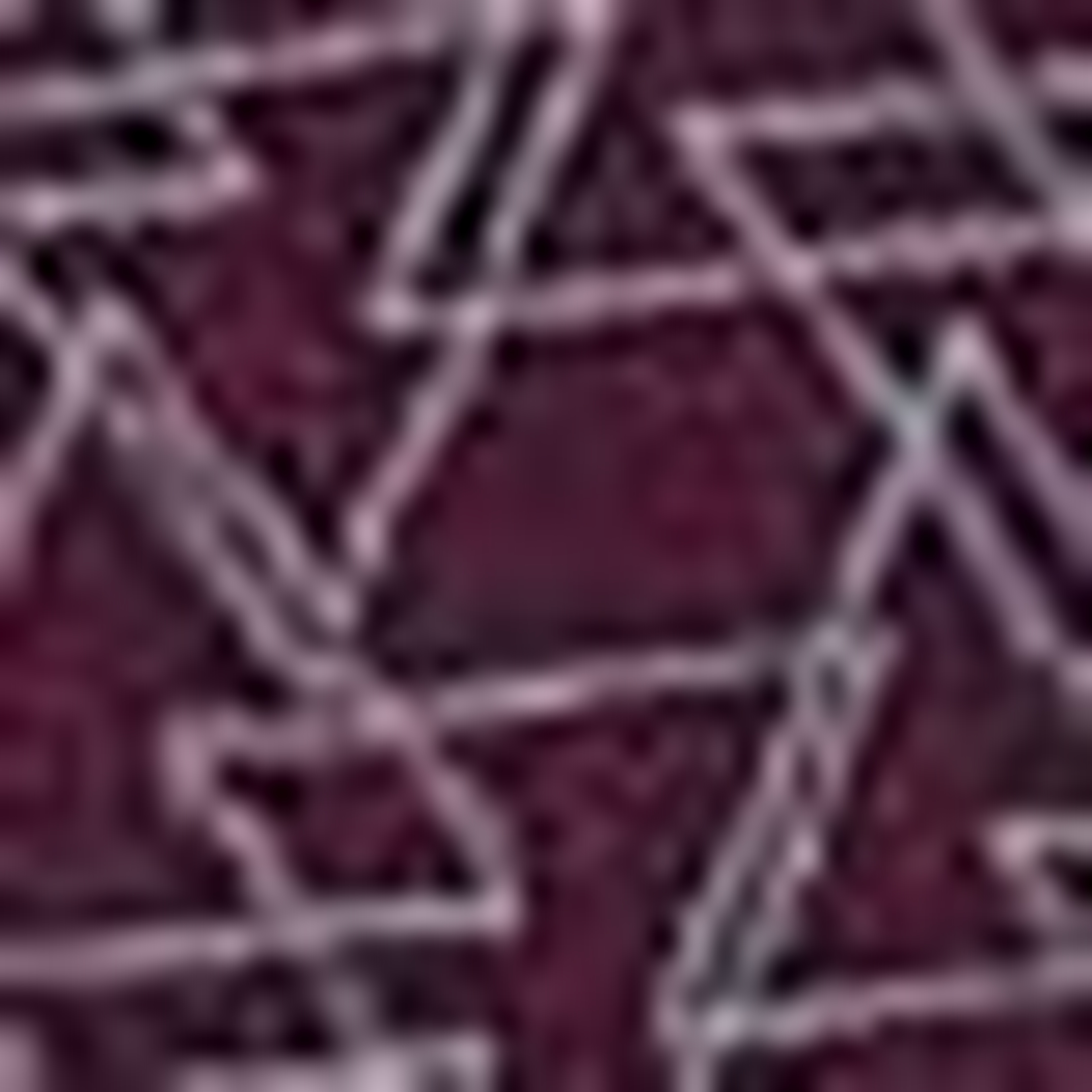 Bordo Slim Fit T-Shirt - Image 6