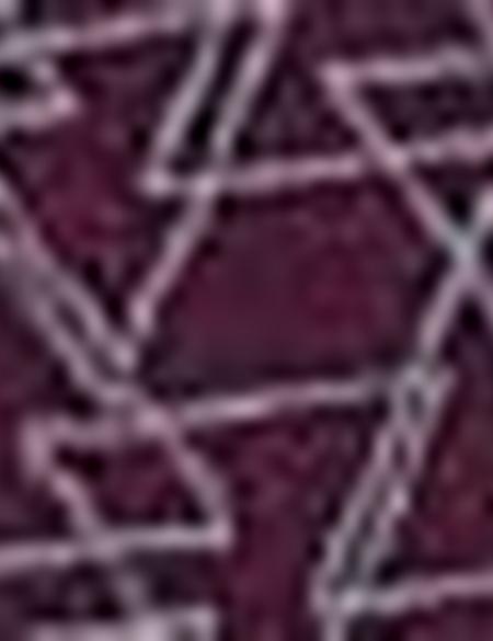 Bordo Slim Fit T-Shirt - 50210360020