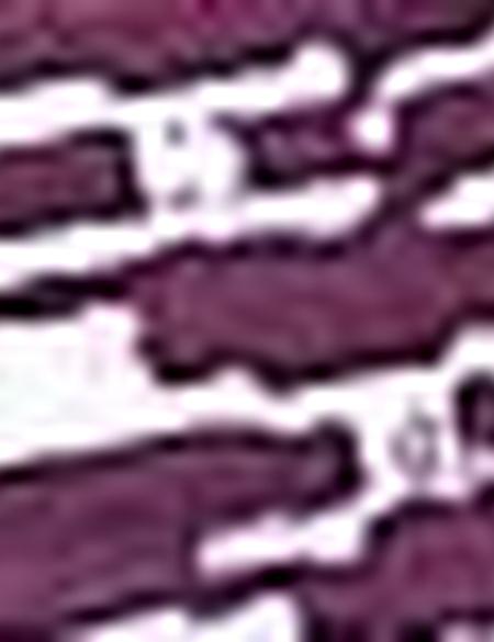 Bordo Slim Fit Polo Yaka Tişört - 50210519016