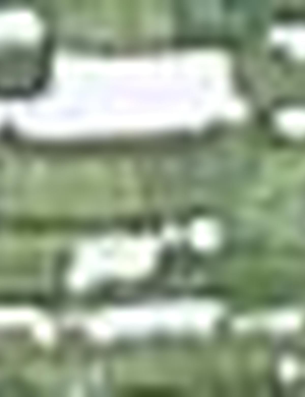 Yeşil Slim Fit Polo Yaka T-Shirt - 50210519029