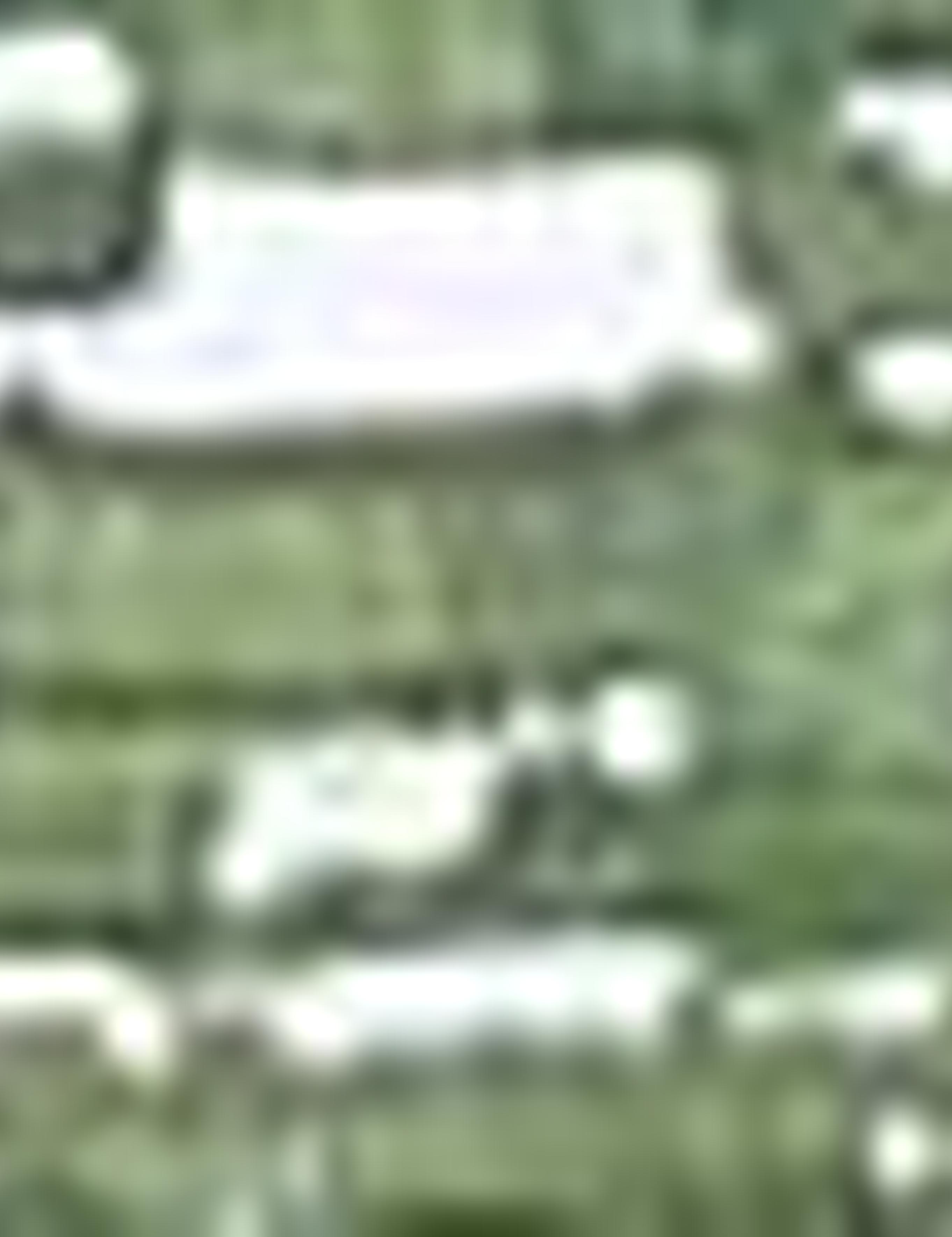 Yeşil Slim Fit Polo Yaka T-Shirt