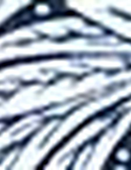 Lacivert Slim Fit Polo Yaka T-Shirt - 50210521003