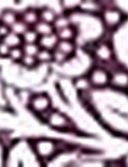 Bordo Slim Fit Polo Yaka T-Shirt - 50210521002