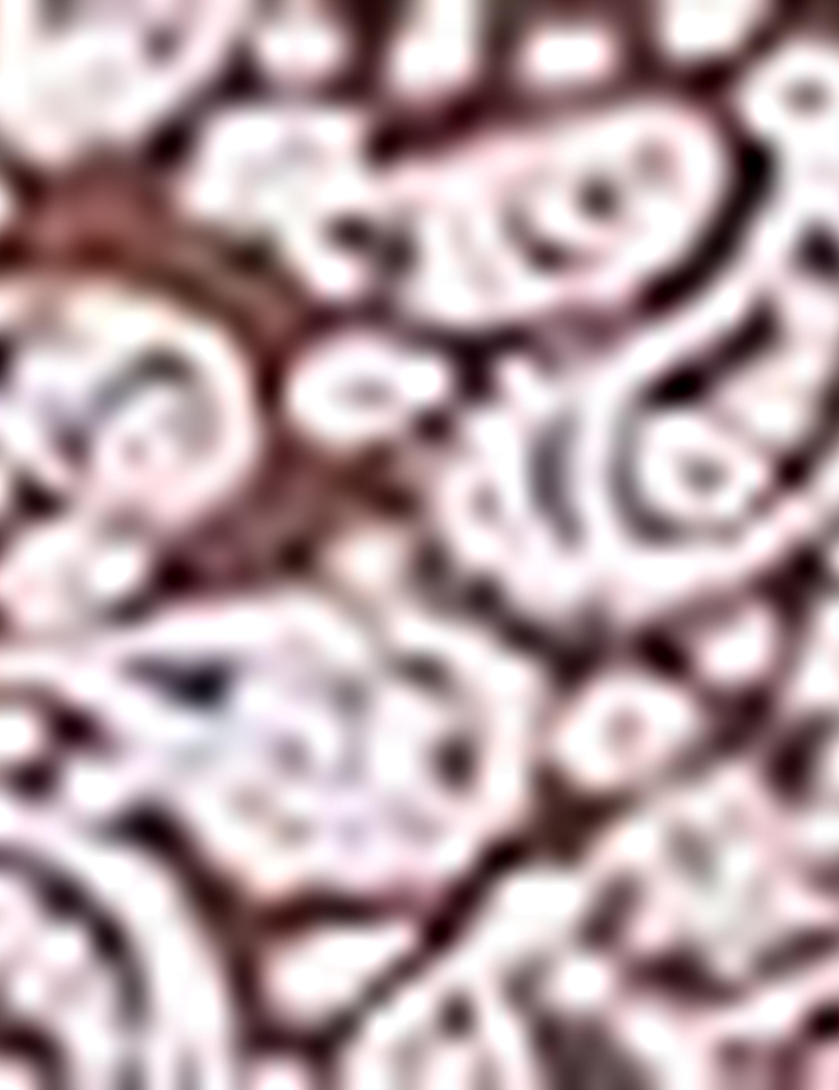 Açık Kahverengi Slim Fit Polo Yaka T-Shirt