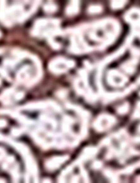 Açık Kahverengi Slim Fit Polo Yaka T-Shirt - 50210549002