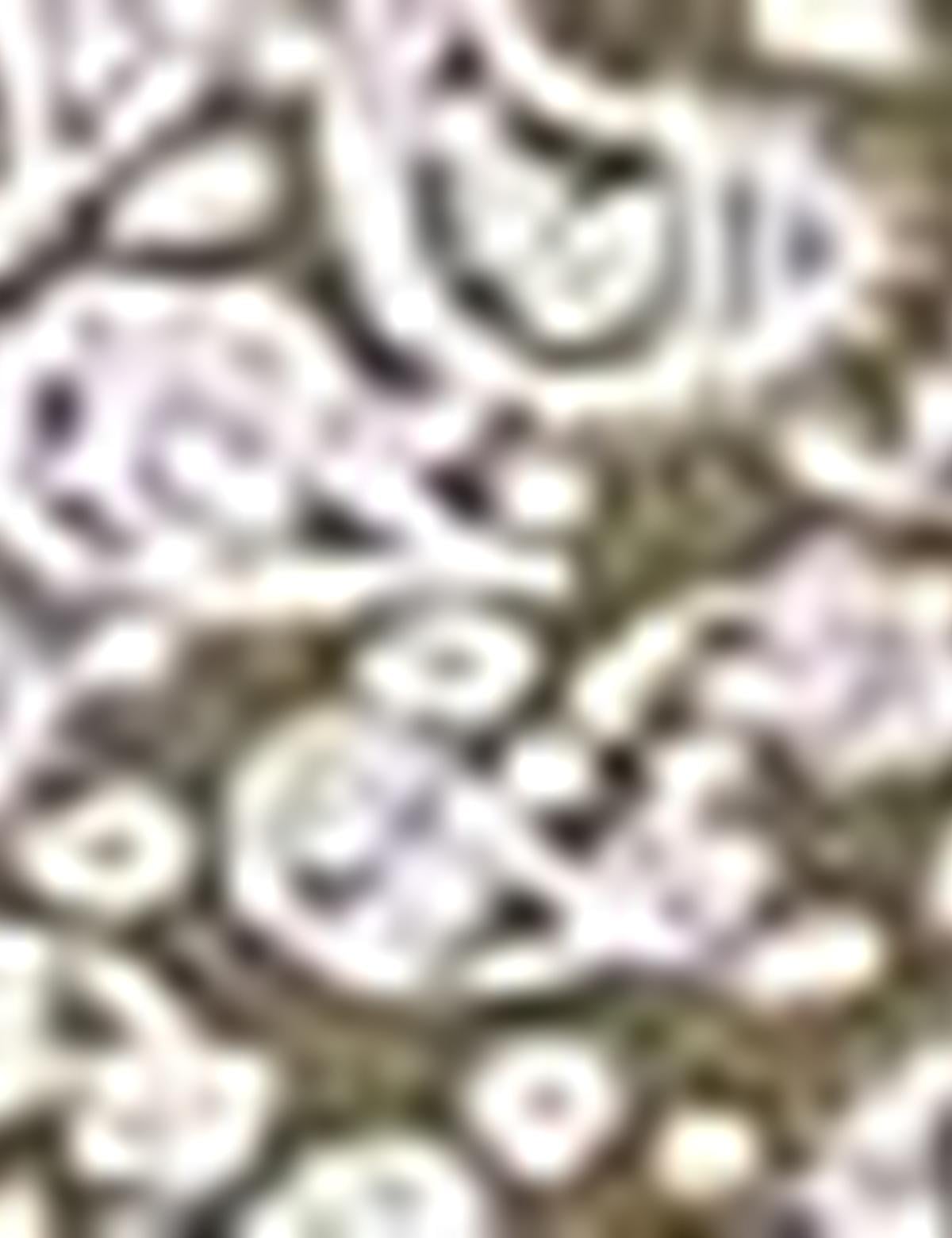 Haki Slim Fit Polo Yaka T-Shirt - 50210549011