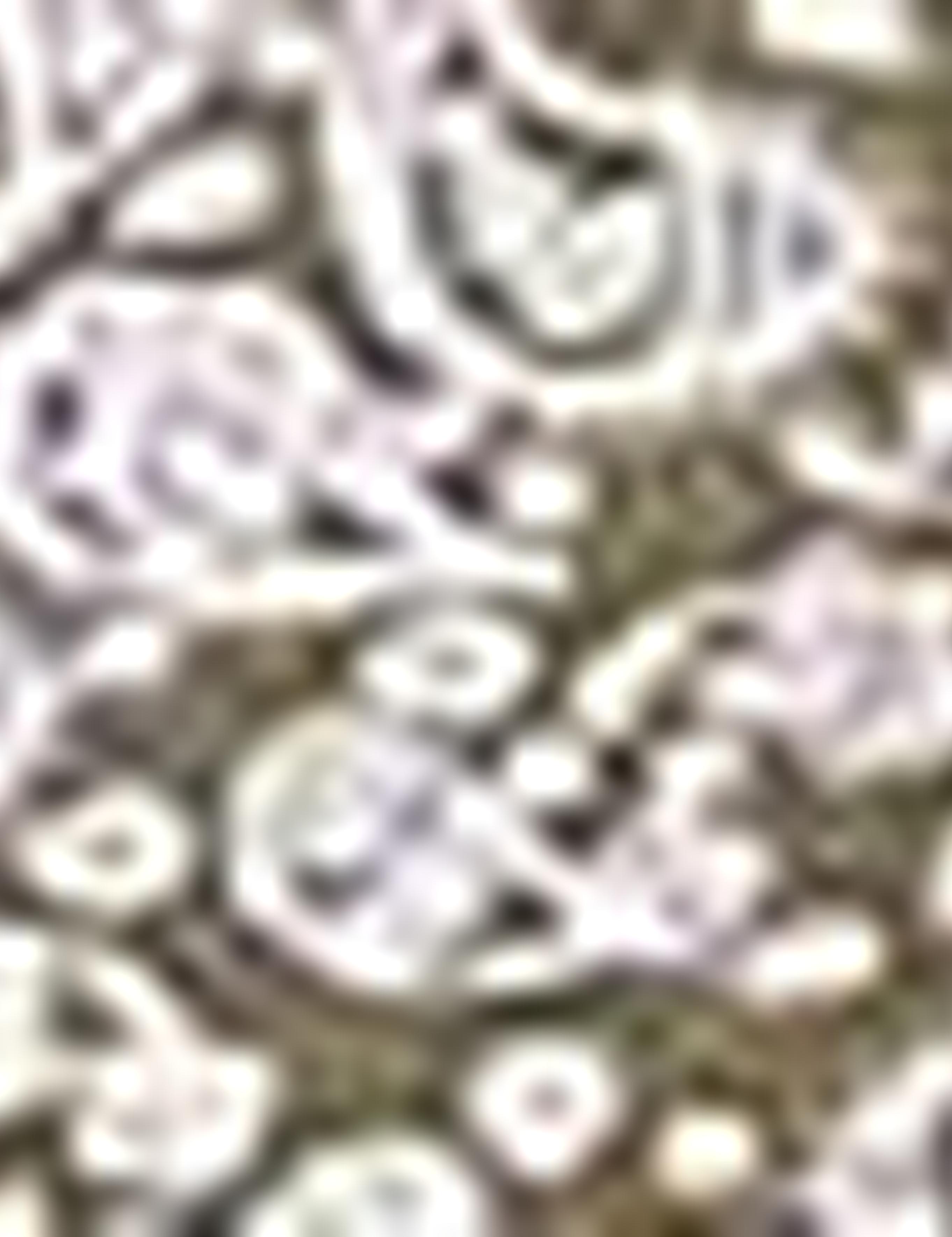 Haki Slim Fit Polo Yaka T-Shirt