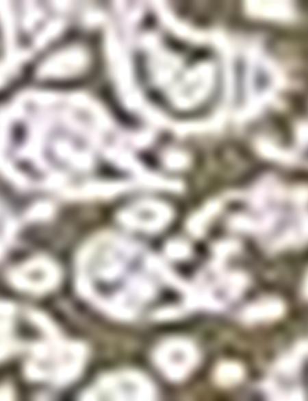 Haki Slim Fit Polo Yaka T-Shirt - 50210549011