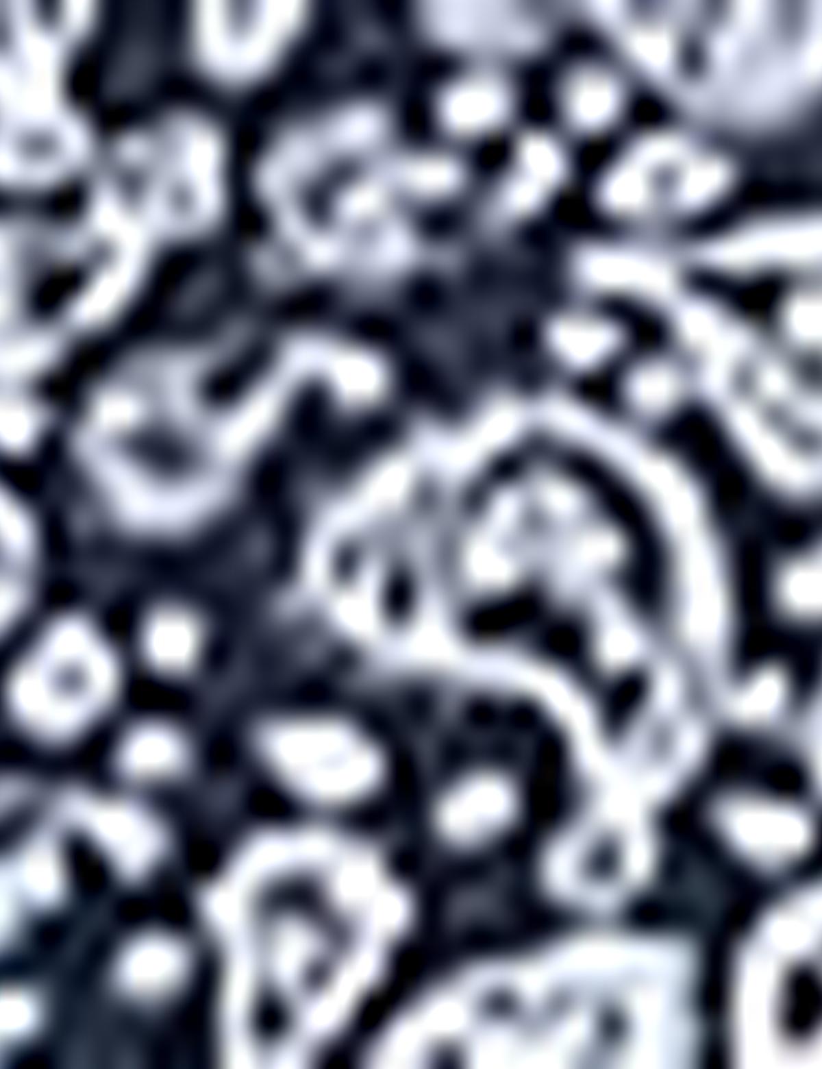 Lacivert Slim Fit Polo Yaka T-Shirt - 50210549020