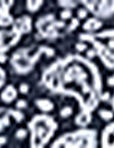 Lacivert Slim Fit Polo Yaka T-Shirt - 50210549020