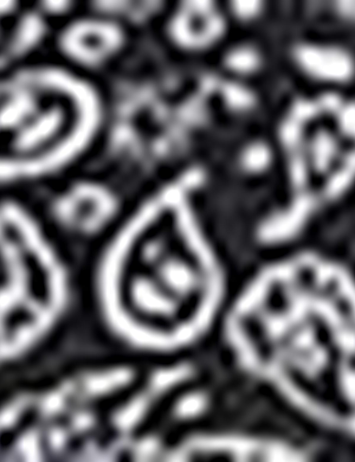 Siyah Slim Fit Polo Yaka T-Shirt - 50210549028