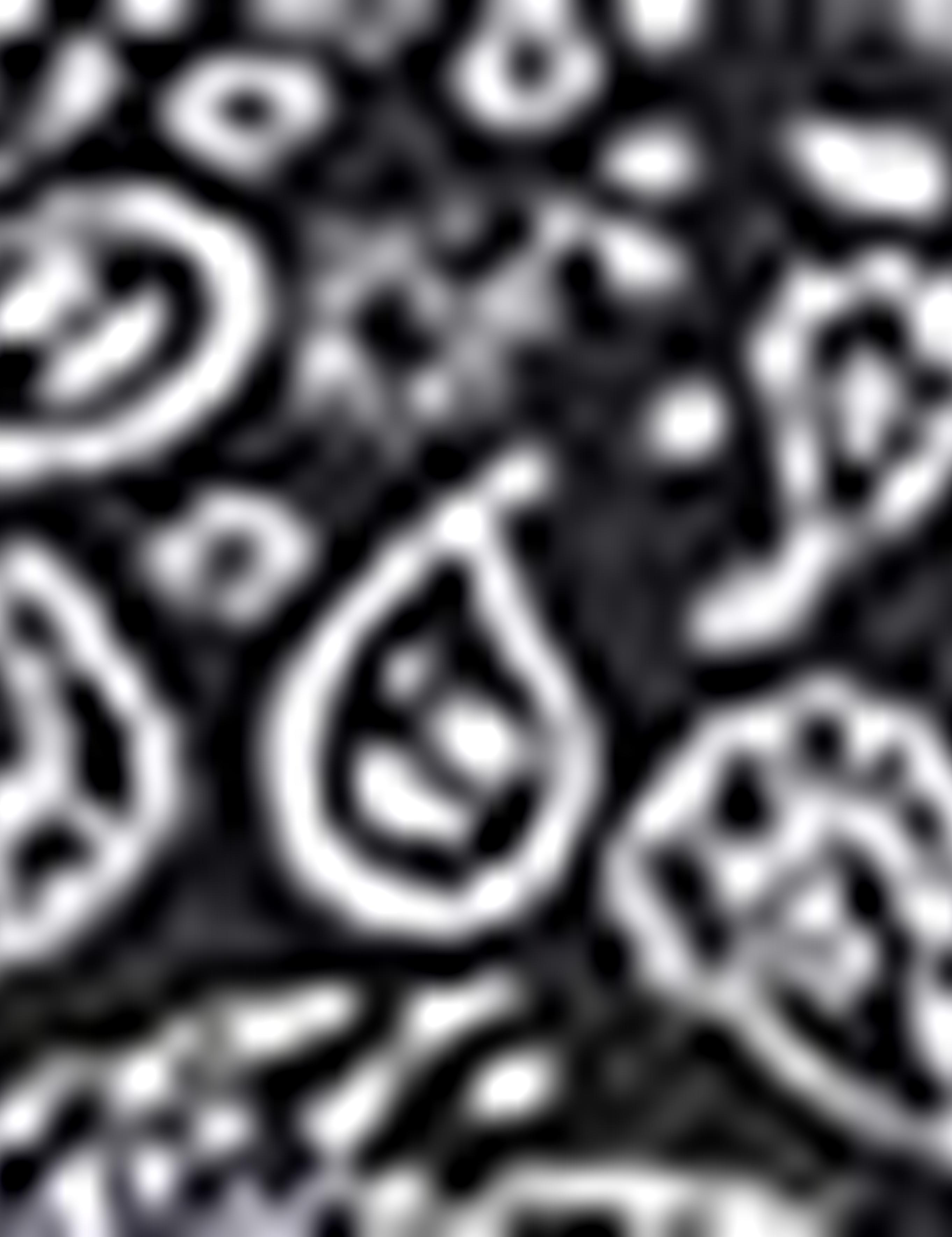 Siyah Slim Fit Polo Yaka T-Shirt