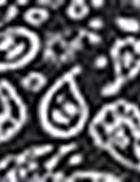 Siyah Slim Fit Polo Yaka T-Shirt - 50210549028