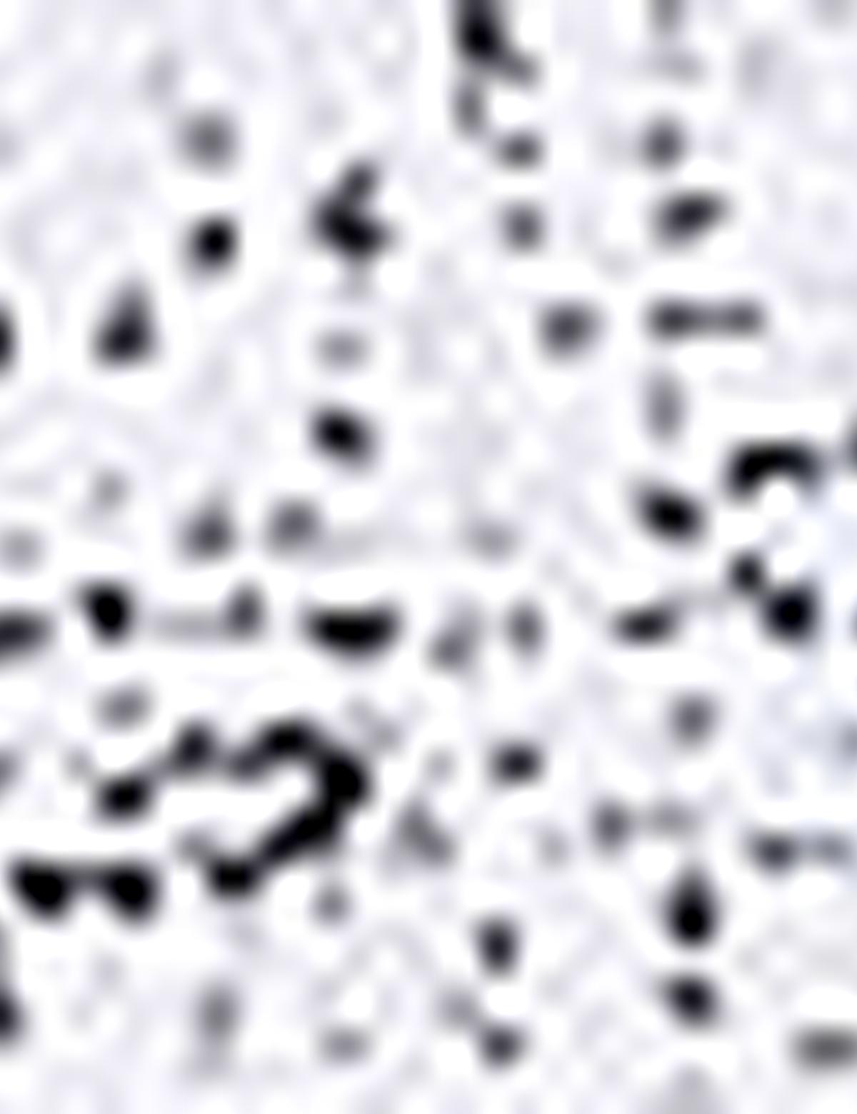 Lacivert Slim Fit Polo Yaka T-Shirt - 50210711009