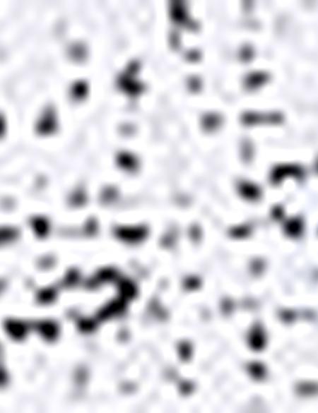 Lacivert Slim Fit Polo Yaka T-Shirt - 50210711009