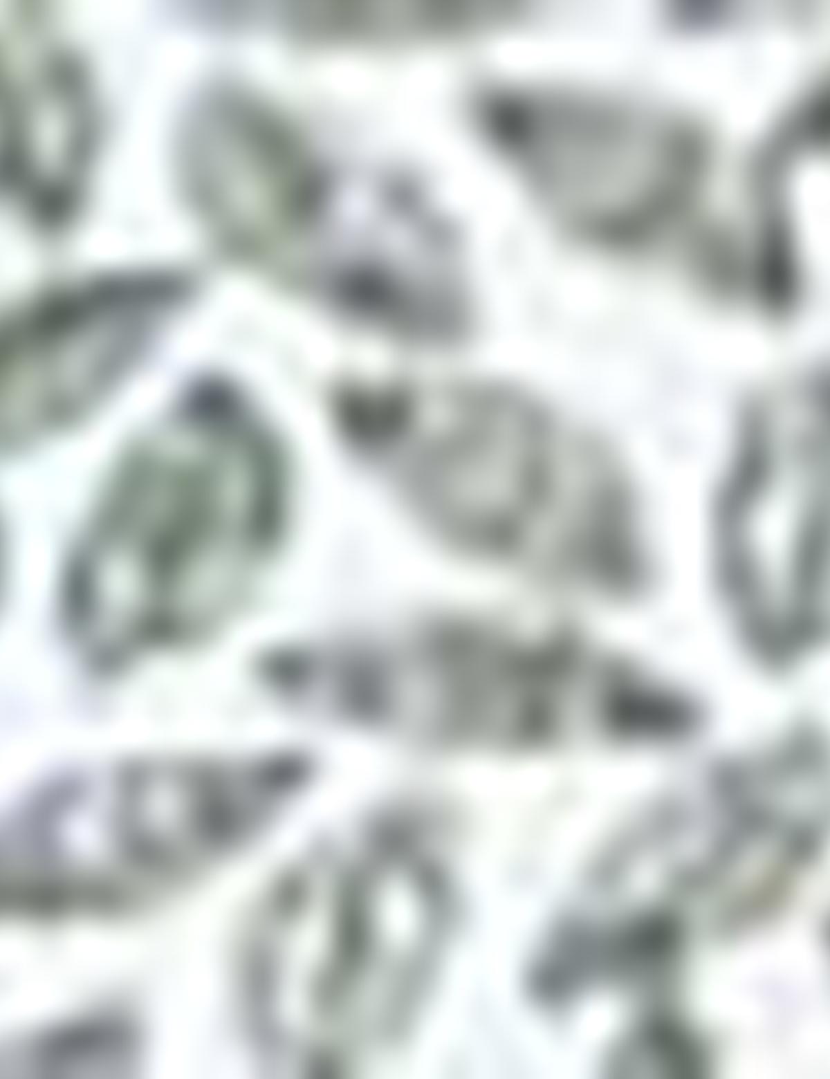 Yeşil Slim Fit Polo Yaka T-Shirt - 50210712023