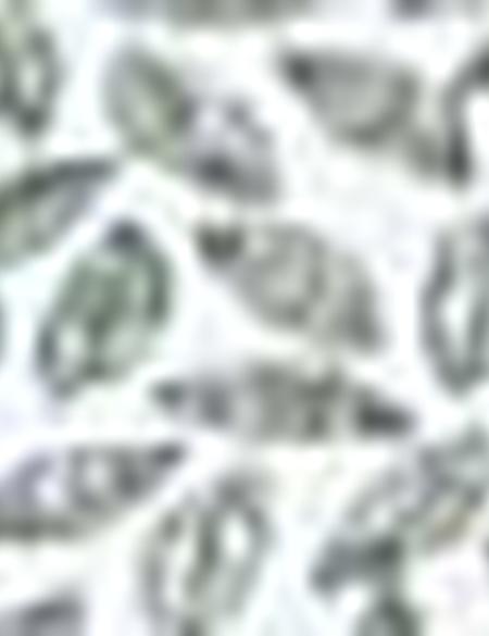 Yeşil Slim Fit Polo Yaka T-Shirt - 50210712023