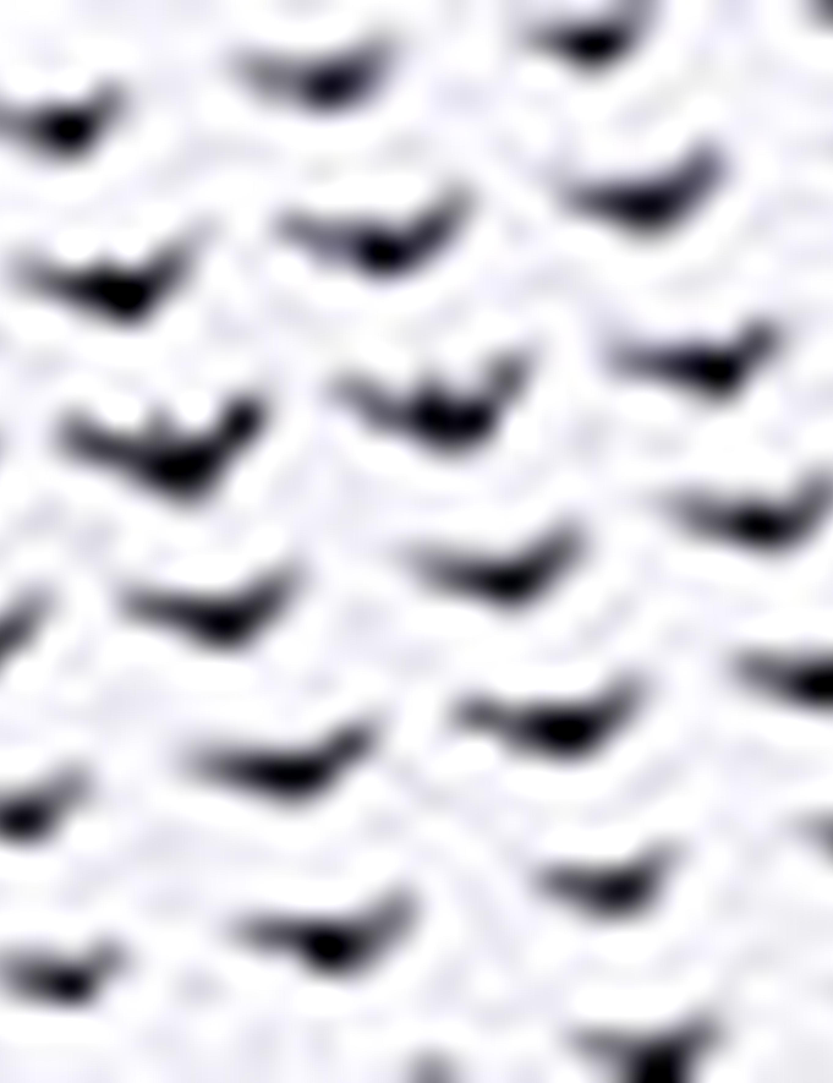 Siyah Slim Fit Polo Yaka T-Shirt