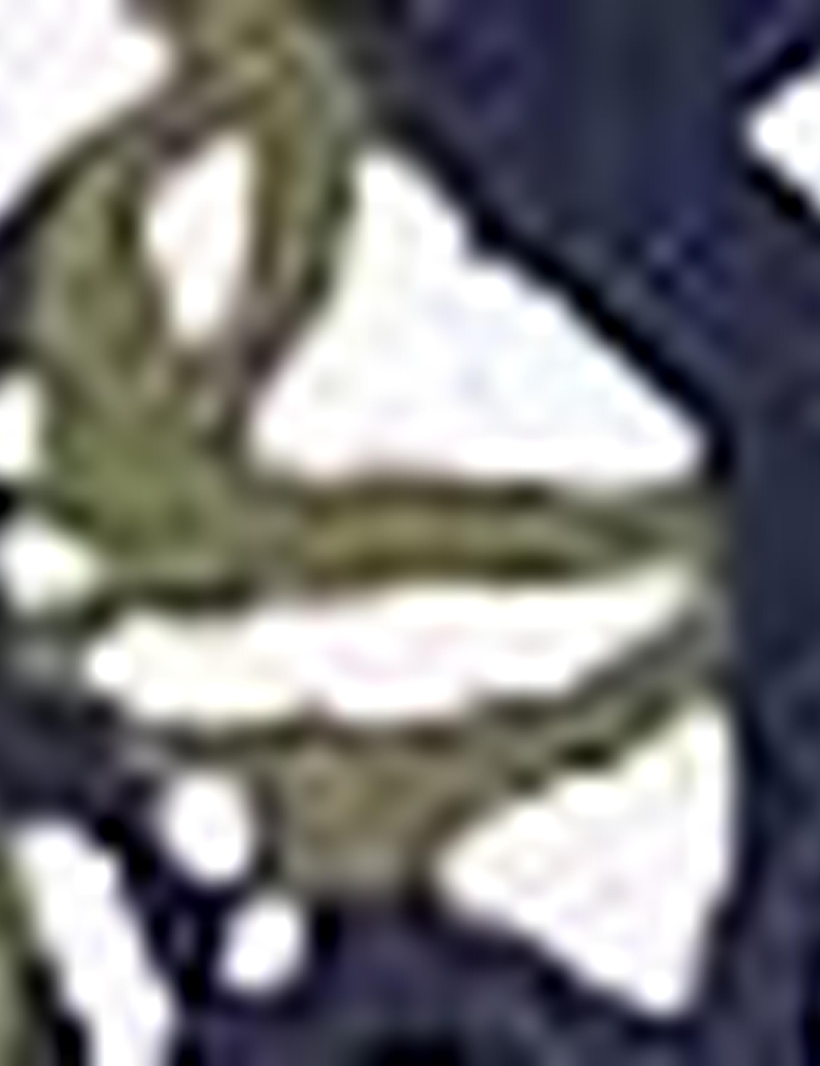 Lacivert Slim Fit Polo Yaka T-Shirt