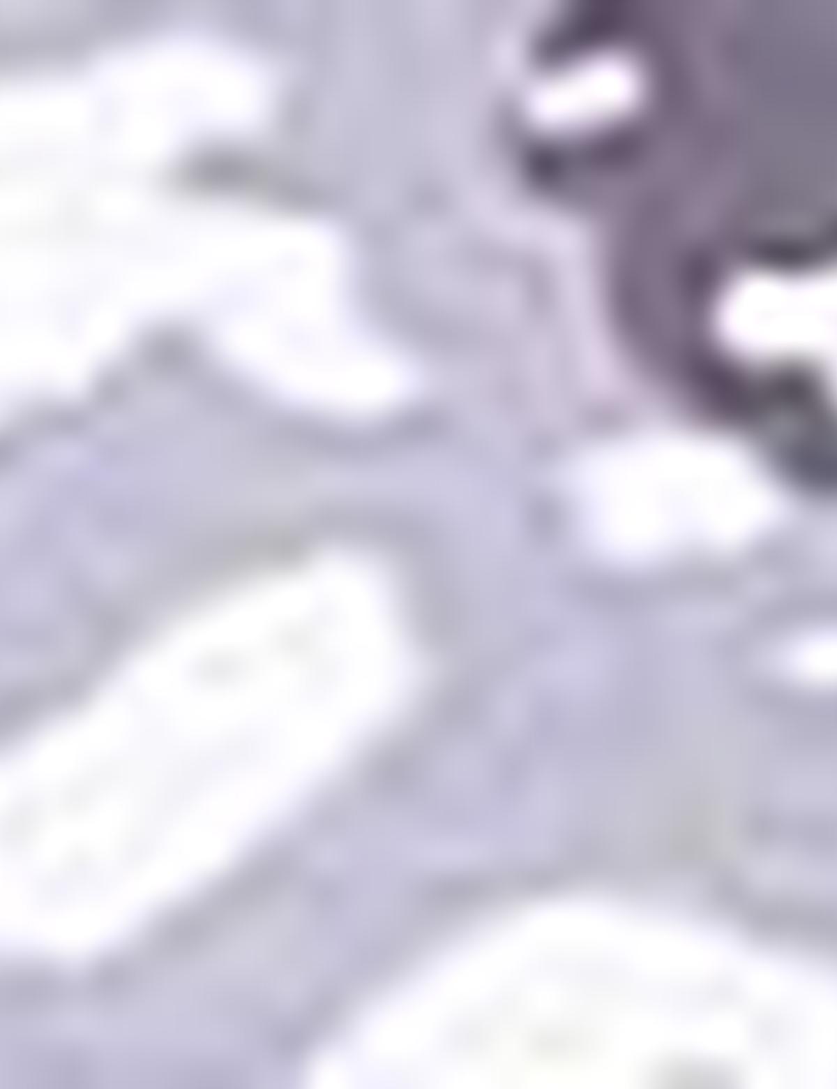 Gri Slim Fit Polo Yaka T-Shirt - 50210726003