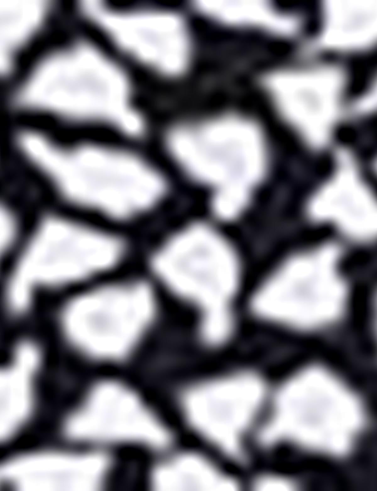 Siyah Slim Fit Polo Yaka T-Shirt - 50210727023