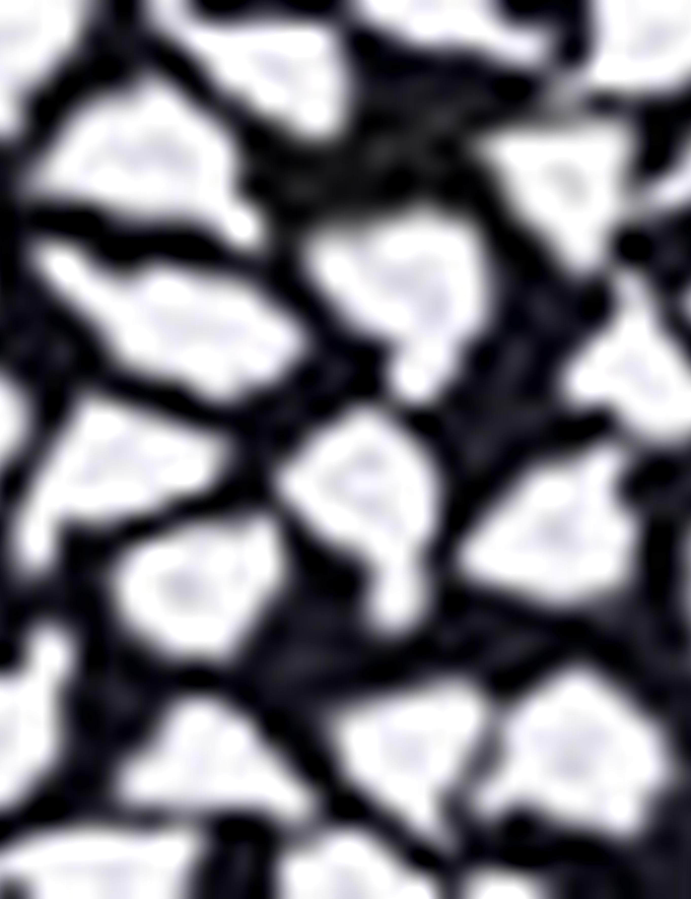 Siyah Slim Fit Polo Yaka T-Shirt