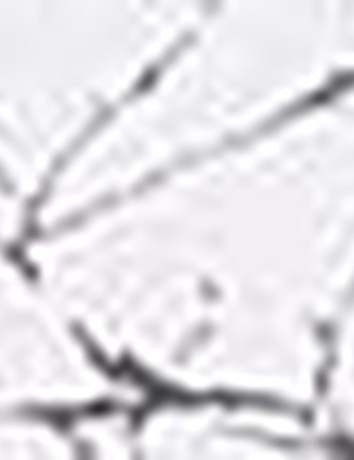 Gri Slim Fit Gömlek - 50210960003