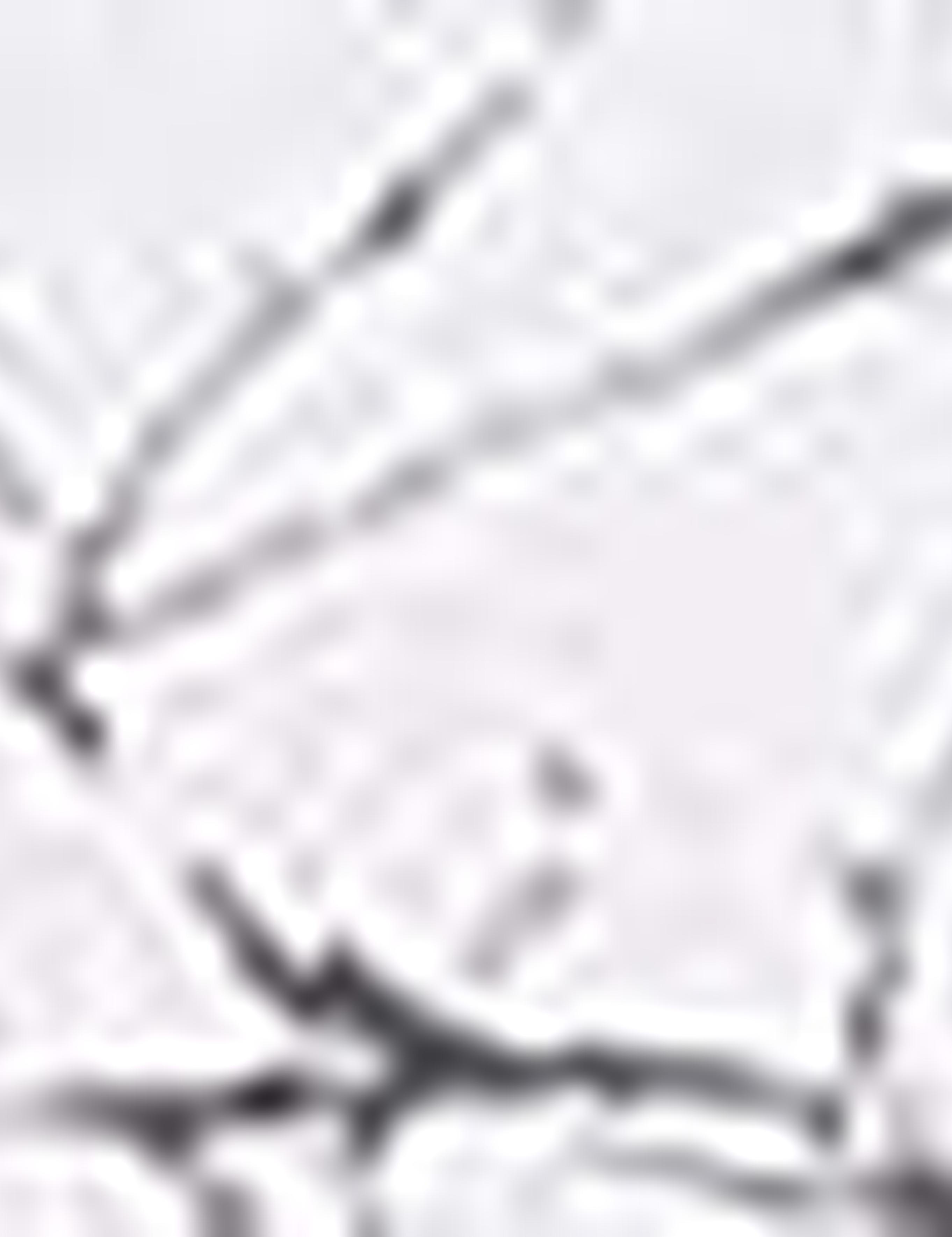 Gri Slim Fit Gömlek