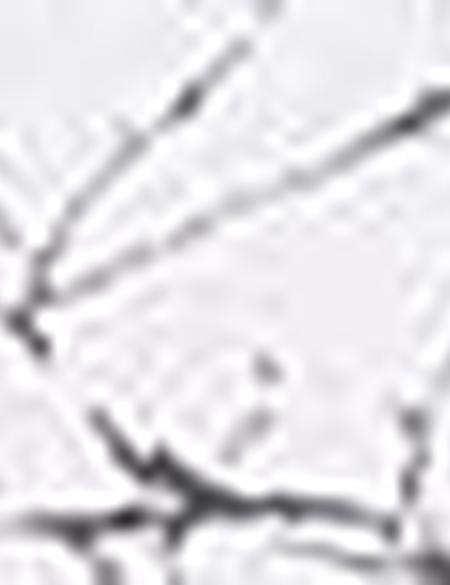 Gri Slim Fit Gömlek - 50210960003