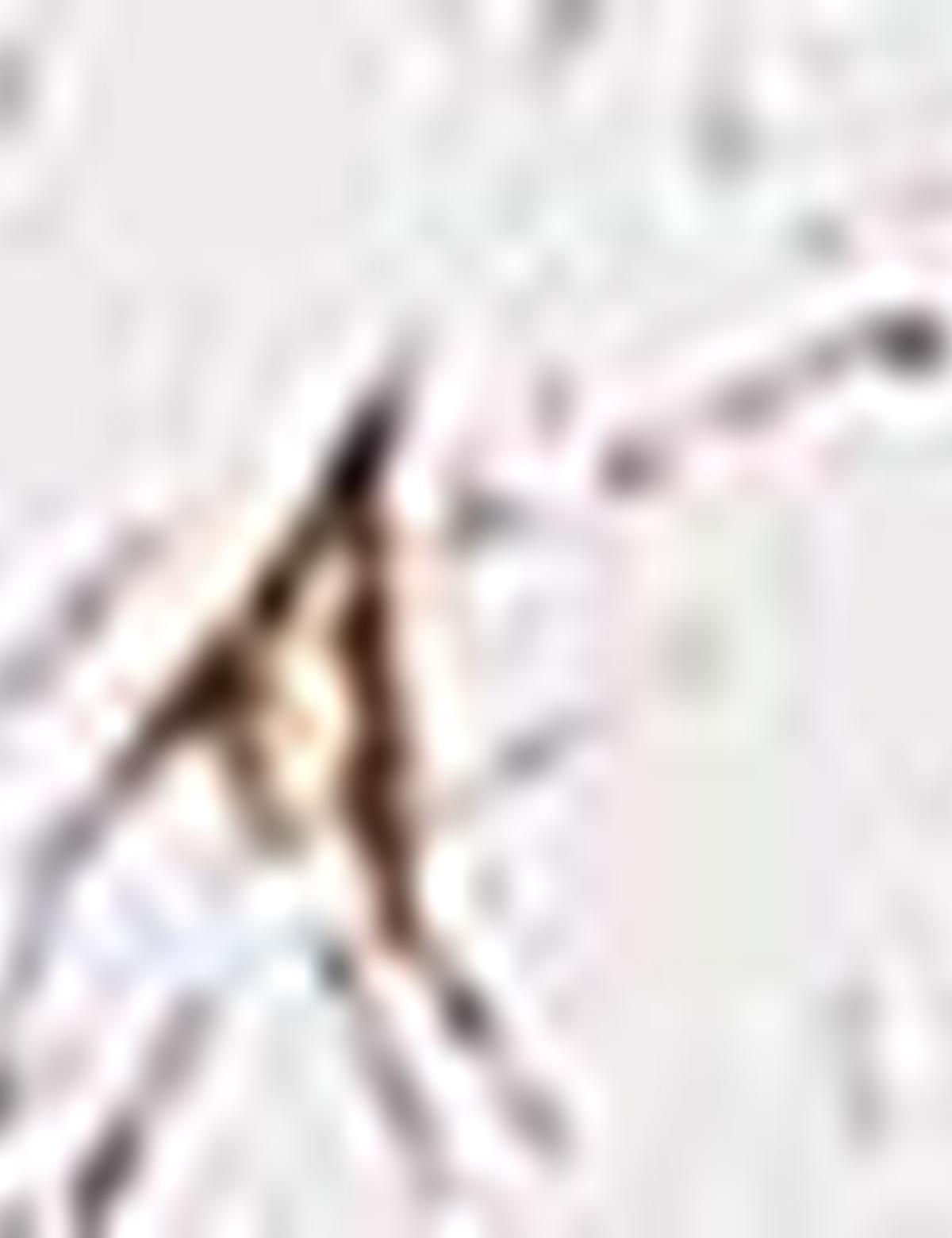 Kahverengi Slim Fit Uzun Kollu Gömlek - 50210960011