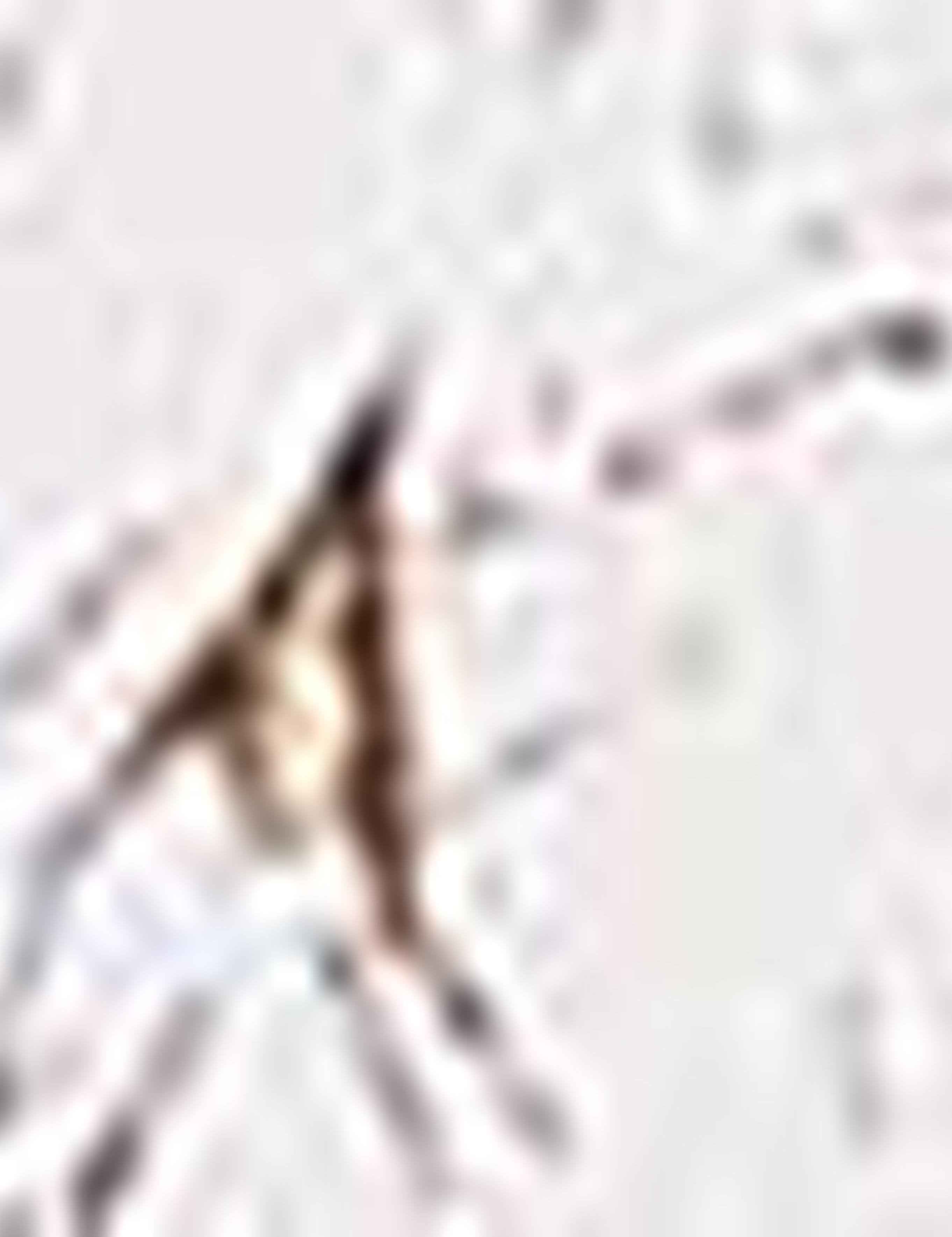 Kahverengi Slim Fit Uzun Kollu Gömlek